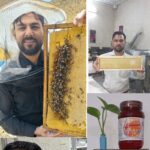 عسل طبیعی_ارگانیک